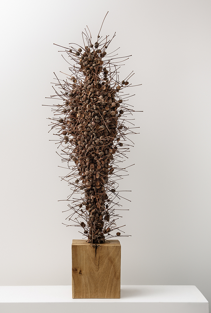 Fragile Love; Acorns cups, mixed media