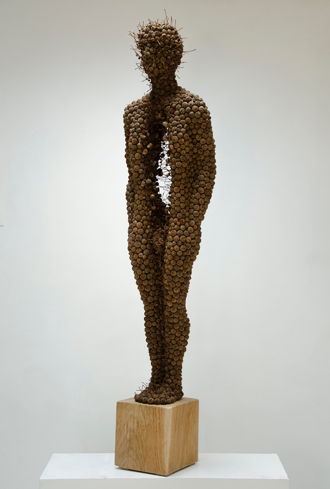 Sentinel; Acorn cups, mixed media