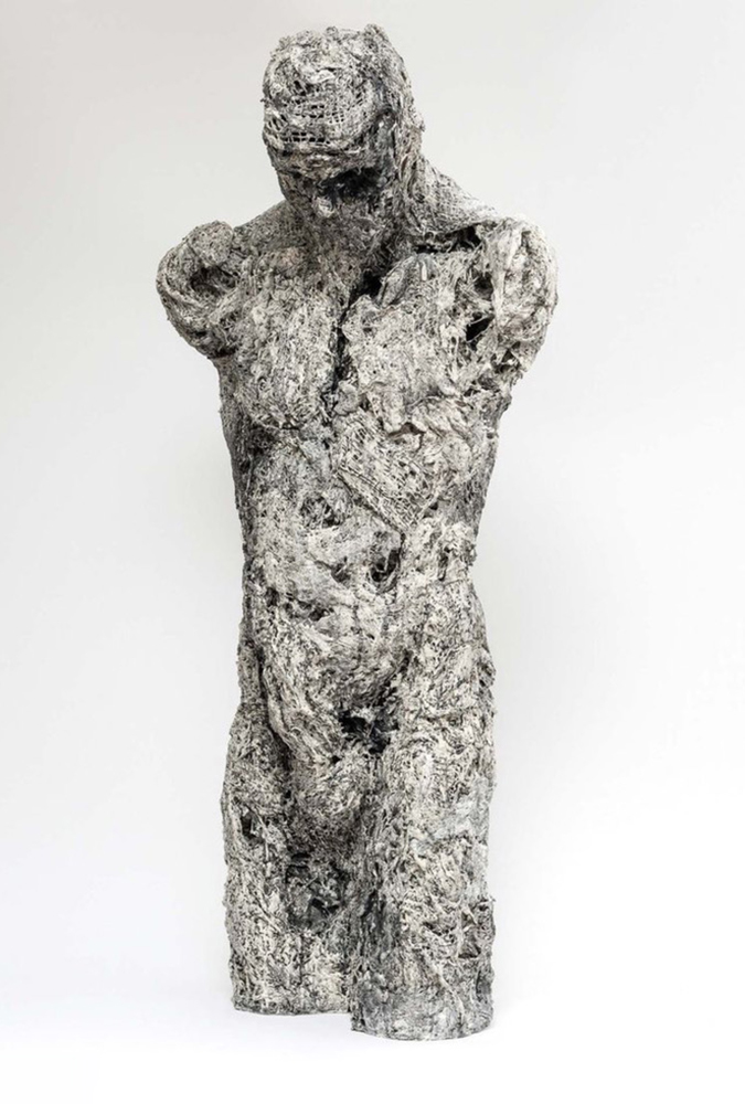 Torso