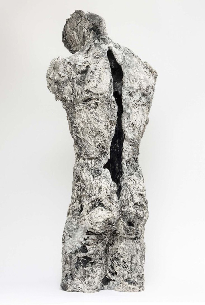 Torso