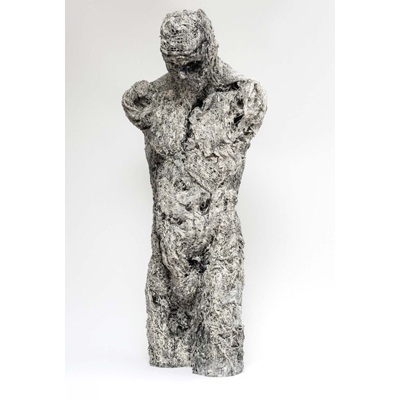 Torso