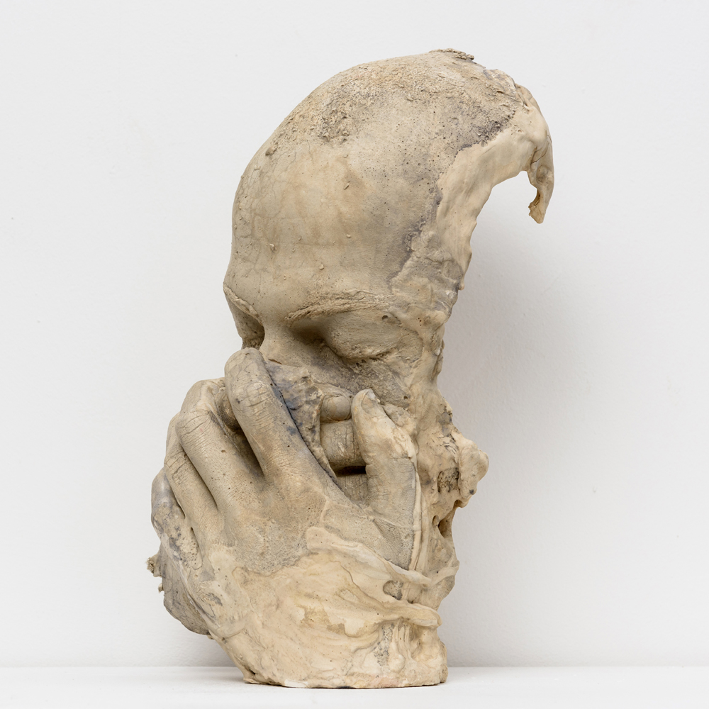 Witness; Plaster