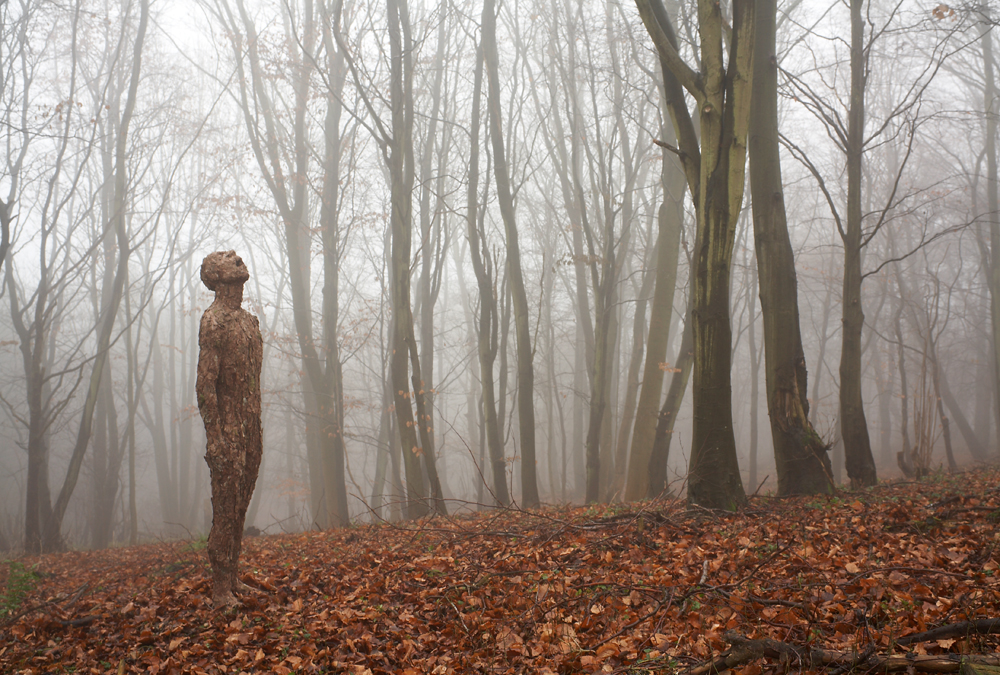 Homage; Bronze