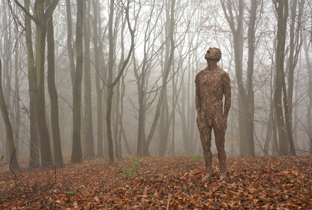 Homage; Bronze