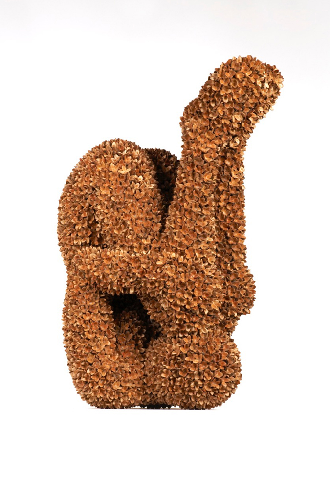 Beech Nut Falling